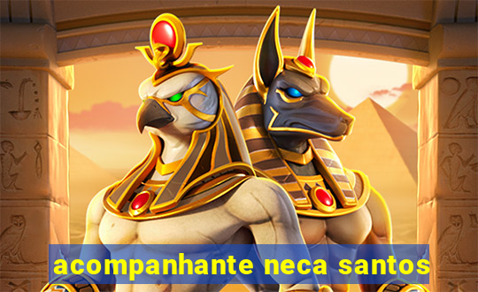 acompanhante neca santos